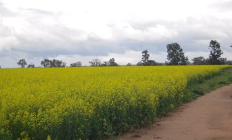 GRDC Farm Business Update, online – pre-Harvest on Farm preparations