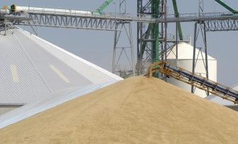 GRDC Grains Research Update, online – Pre-harvest grain storage health check