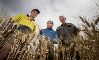 GRDC Farm Business Update, online – Joint-venture models in grain farming